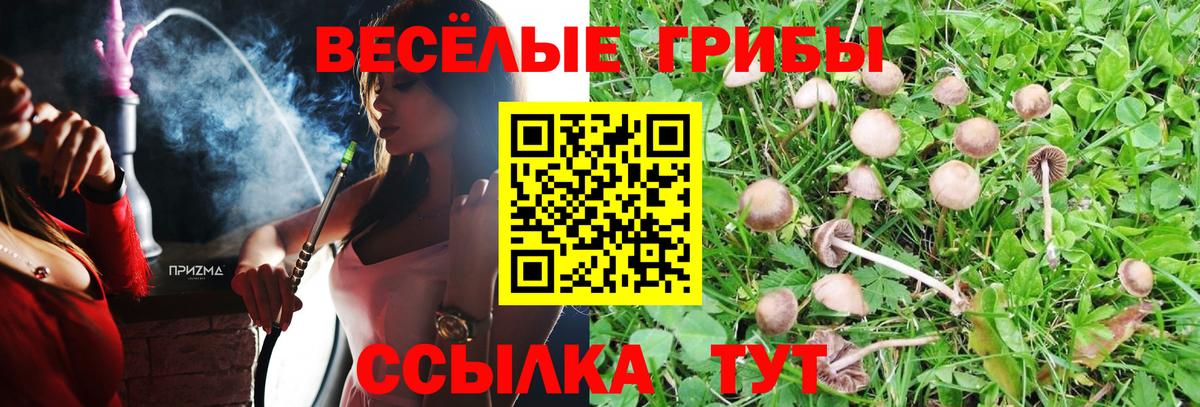 Березники  Псилоцибиновые грибы Magic Shrooms  Вход с VPN 